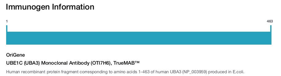 UBE1C (UBA3) Monoclonal Antibody (OTI7H6), TrueMAB&trade;