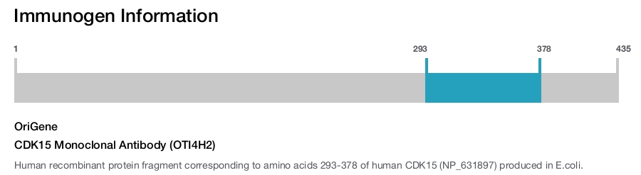 CDK15 Monoclonal Antibody (OTI4H2)