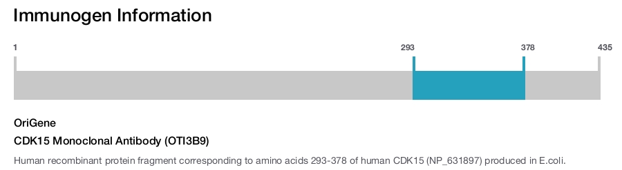 CDK15 Monoclonal Antibody (OTI3B9)