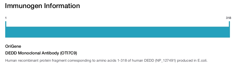 DEDD Monoclonal Antibody (OTI7C9)