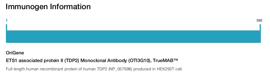 ETS1 associated protein II (TDP2) Monoclonal Antibody (OTI3G10), TrueMAB&trade;