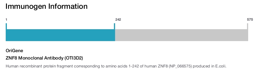 ZNF8 Monoclonal Antibody (OTI3D2)