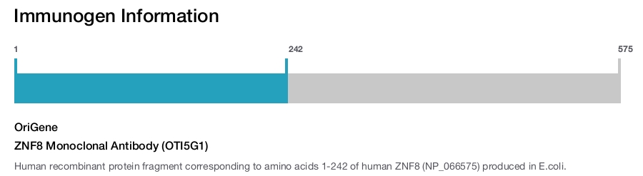 ZNF8 Monoclonal Antibody (OTI5G1)