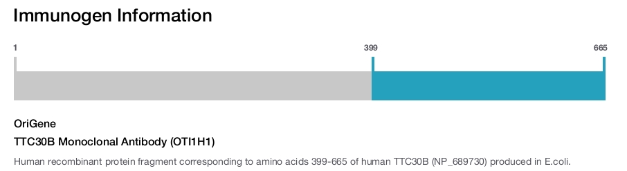 TTC30B Monoclonal Antibody (OTI1H1)