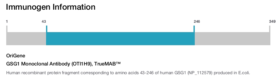 GSG1 Monoclonal Antibody (OTI1H9), TrueMAB&trade;
