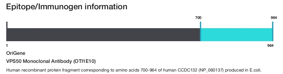 VPS50 Monoclonal Antibody (OTI1E10)