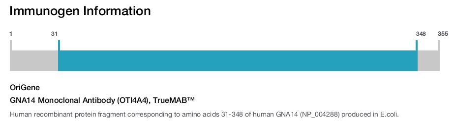GNA14 Monoclonal Antibody (OTI4A4), TrueMAB&trade;