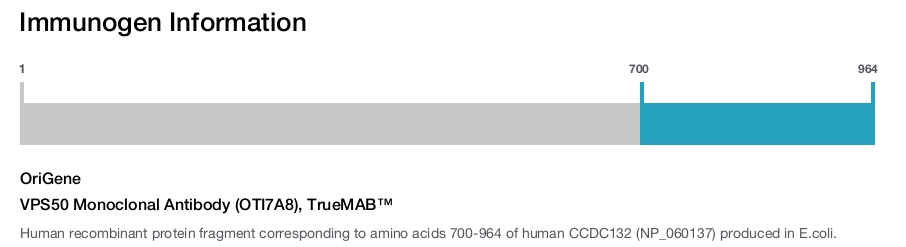 VPS50 Monoclonal Antibody (OTI7A8), TrueMAB&trade;