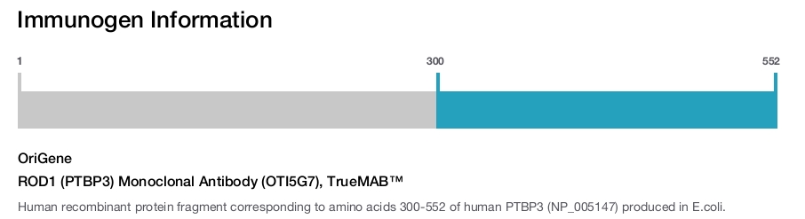ROD1 (PTBP3) Monoclonal Antibody (OTI5G7), TrueMAB&trade;