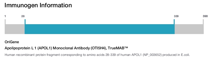 Apolipoprotein L 1 (APOL1) Monoclonal Antibody (OTI5H4), TrueMAB&trade;