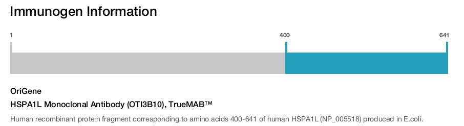 HSPA1L Monoclonal Antibody (OTI3B10), TrueMAB&trade;