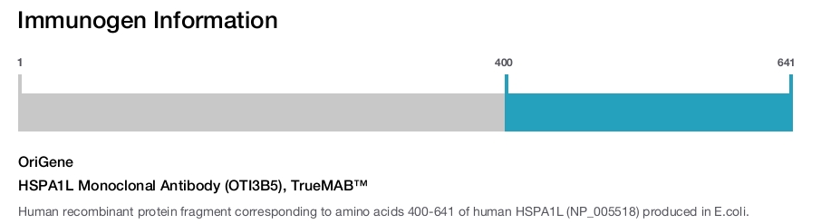 HSPA1L Monoclonal Antibody (OTI3B5), TrueMAB&trade;