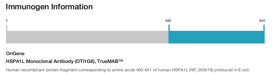 HSPA1L Monoclonal Antibody (OTI1G8), TrueMAB&trade;