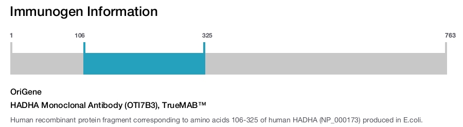 HADHA Monoclonal Antibody (OTI7B3), TrueMAB&trade;