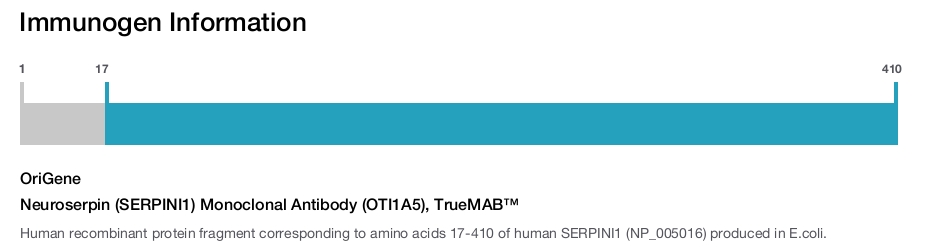 Neuroserpin (SERPINI1) Monoclonal Antibody (OTI1A5), TrueMAB&trade;