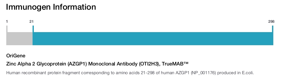 Zinc Alpha 2 Glycoprotein (AZGP1) Monoclonal Antibody (OTI2H3), TrueMAB&trade;