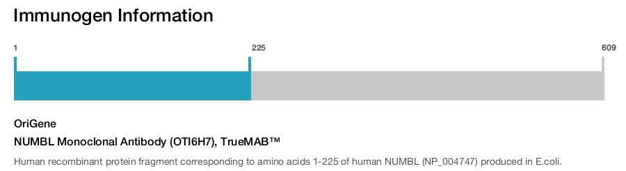 NUMBL Monoclonal Antibody (OTI6H7), TrueMAB&trade;