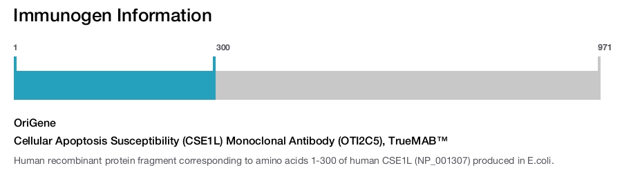 Cellular Apoptosis Susceptibility (CSE1L) Monoclonal Antibody (OTI2C5), TrueMAB&trade;