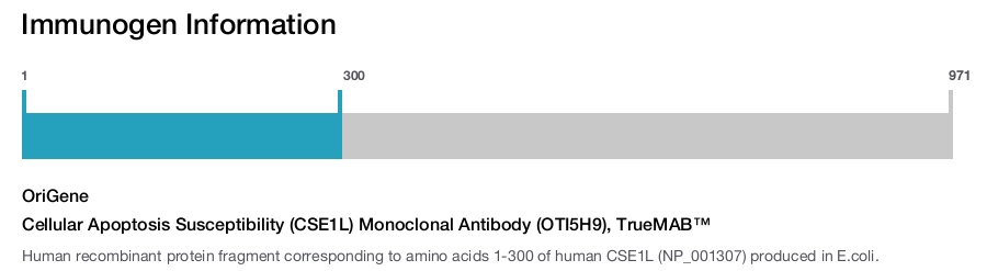 Cellular Apoptosis Susceptibility (CSE1L) Monoclonal Antibody (OTI5H9), TrueMAB&trade;