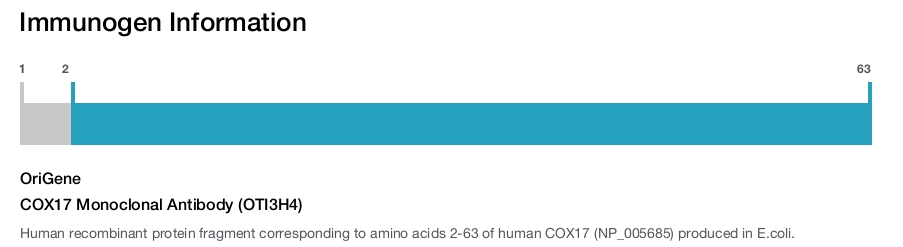 COX17 Monoclonal Antibody (OTI3H4)