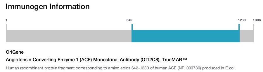 Angiotensin Converting Enzyme 1 (ACE) Monoclonal Antibody (OTI2C8), TrueMAB&trade;