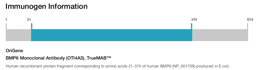 BMP6 Monoclonal Antibody (OTI4A3), TrueMAB&trade;