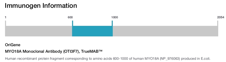MYO18A Monoclonal Antibody (OTI3F7), TrueMAB&trade;