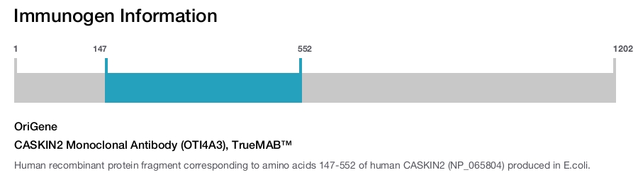 CASKIN2 Monoclonal Antibody (OTI4A3), TrueMAB&trade;