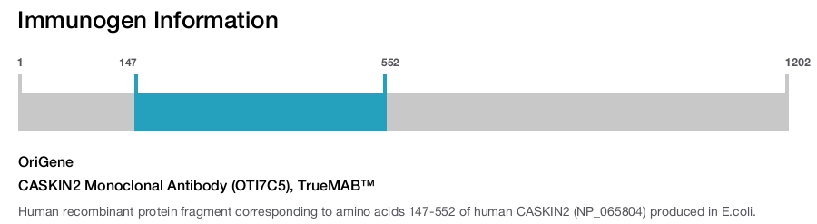 CASKIN2 Monoclonal Antibody (OTI7C5), TrueMAB&trade;
