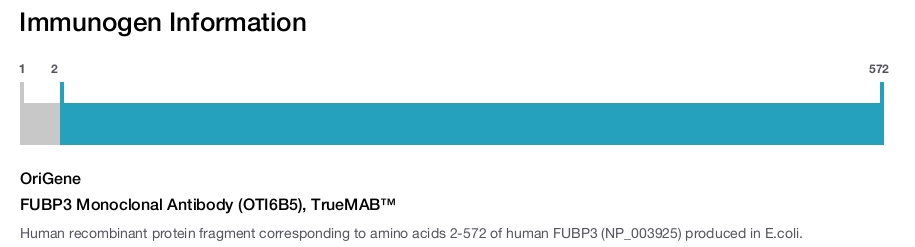 FUBP3 Monoclonal Antibody (OTI6B5), TrueMAB&trade;