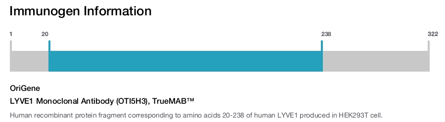 LYVE1 Monoclonal Antibody (OTI5H3), TrueMAB&trade;