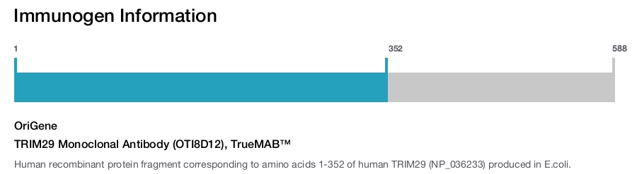 TRIM29 Monoclonal Antibody (OTI8D12), TrueMAB&trade;