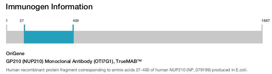 GP210 (NUP210) Monoclonal Antibody (OTI7G1), TrueMAB&trade;