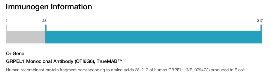 GRPEL1 Monoclonal Antibody (OTI6G6), TrueMAB&trade;