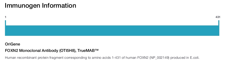 FOXN2 Monoclonal Antibody (OTI5H8), TrueMAB&trade;