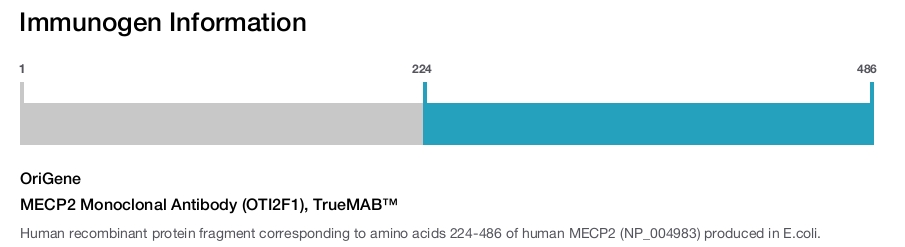 MECP2 Monoclonal Antibody (OTI2F1), TrueMAB&trade;