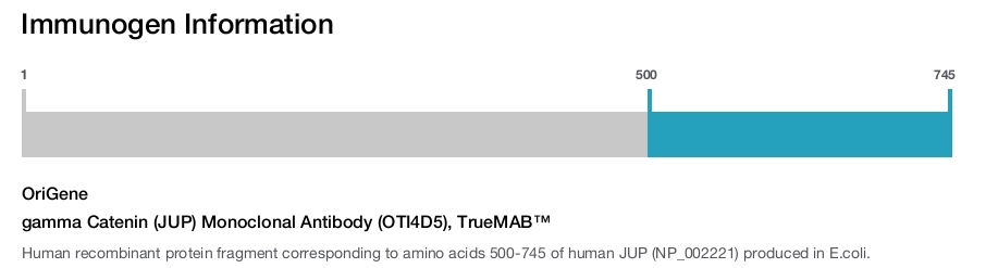 gamma Catenin (JUP) Monoclonal Antibody (OTI4D5), TrueMAB&trade;
