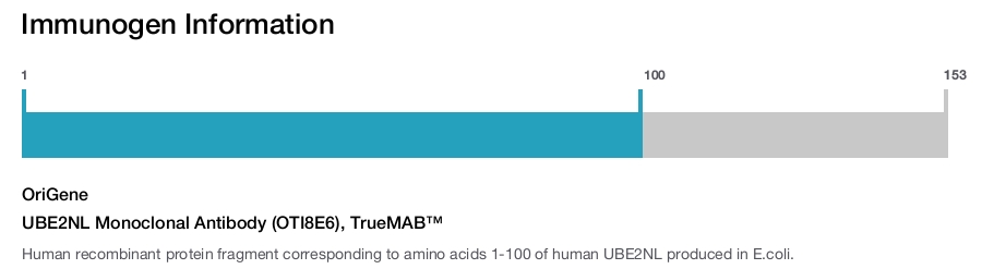 UBE2NL Monoclonal Antibody (OTI8E6), TrueMAB&trade;
