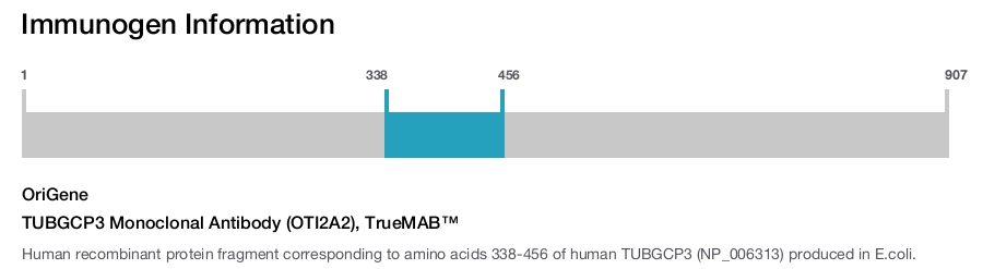 TUBGCP3 Monoclonal Antibody (OTI2A2), TrueMAB&trade;