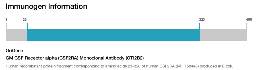 GM CSF Receptor alpha (CSF2RA) Monoclonal Antibody (OTI2B2)