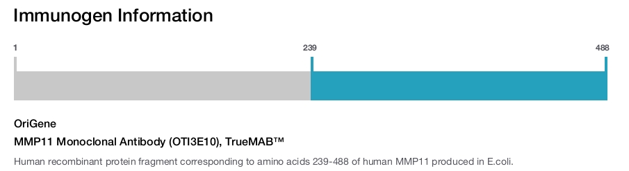 MMP11 Monoclonal Antibody (OTI3E10), TrueMAB&trade;