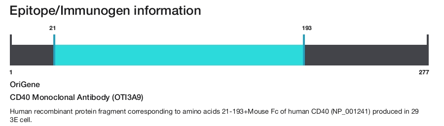 CD40 Monoclonal Antibody (OTI3A9)