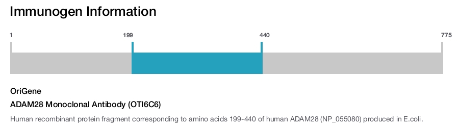 ADAM28 Monoclonal Antibody (OTI6C6)