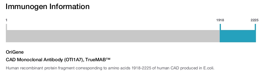 CAD Monoclonal Antibody (OTI1A7), TrueMAB&trade;