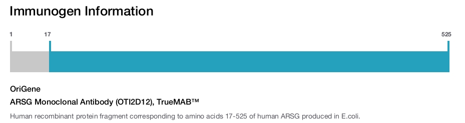 ARSG Monoclonal Antibody (OTI2D12), TrueMAB&trade;