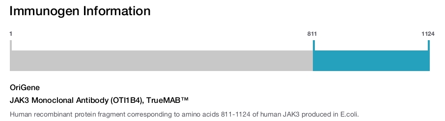 JAK3 Monoclonal Antibody (OTI1B4), TrueMAB™