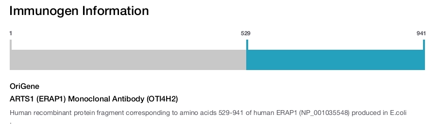 ARTS1 (ERAP1) Monoclonal Antibody (OTI4H2)