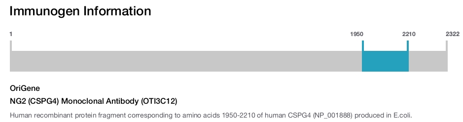 NG2 (CSPG4) Monoclonal Antibody (OTI3C12)
