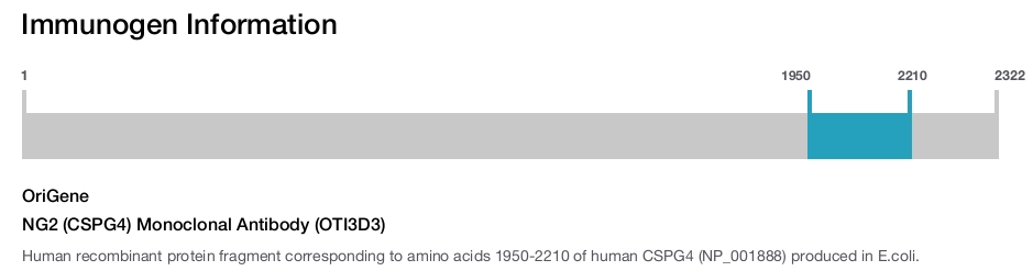 NG2 (CSPG4) Monoclonal Antibody (OTI3D3)