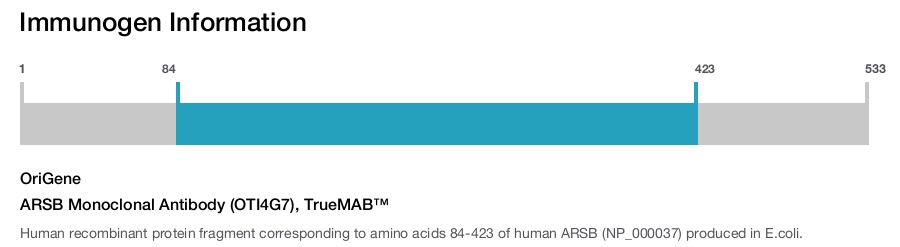 ARSB Monoclonal Antibody (OTI4G7), TrueMAB™